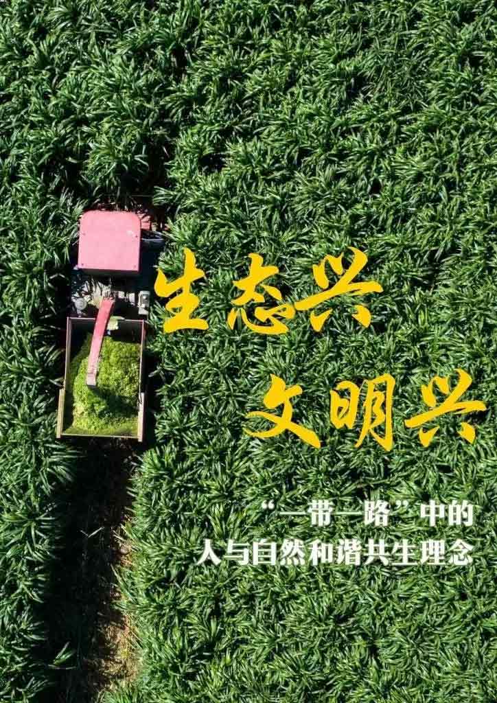 “一帶一路”高峰論壇丨生態(tài)興 文明興，“這是一條綠色可持續(xù)發(fā)展之路”